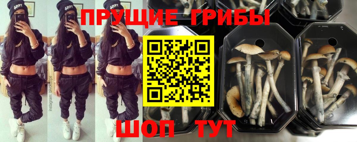 Псилоцибиновые грибы MAGIC MUSHROOMS Щёкино