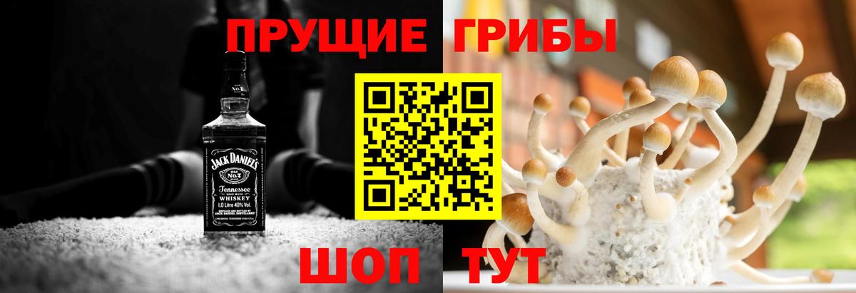 Галлюциногенные грибы Cubensis  Вход с VPN  Галлюциногенные грибы MAGIC MUSHROOMS  купить наркотик  Щёкино 